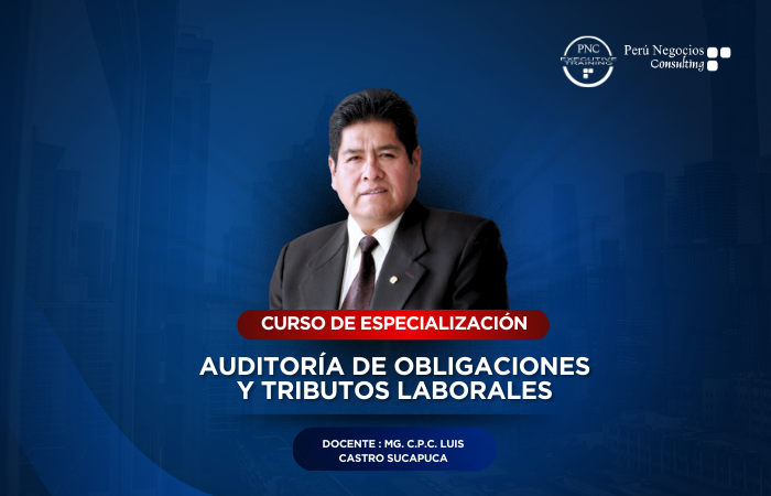 AUDITORÍA DE OBLIGACIONES Y TRIBUTOS LABORALES(24 HORAS ACADÉMICAS)