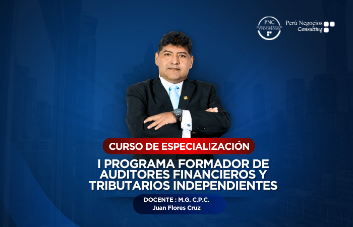 PROGRAMA FORMADOR DE AUDITORES FINANCIEROS Y TRIBUTARIOS INDEPENDIENTES(384 HORAS ACADÉMICAS)