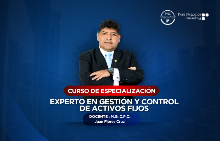 EXPERTO EN GESTIÓN Y CONTROL DE ACTIVOS FIJOS(24 HORAS ACADÉMICAS)